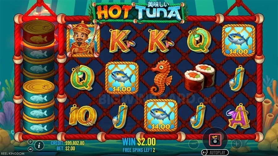 Live Roulette Game
